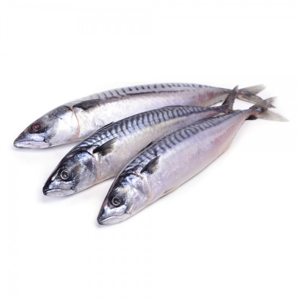 000373_ikan_sardin_3_ekor