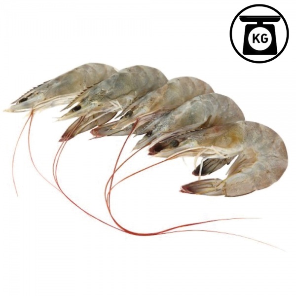 000388_udang_putih_250g-