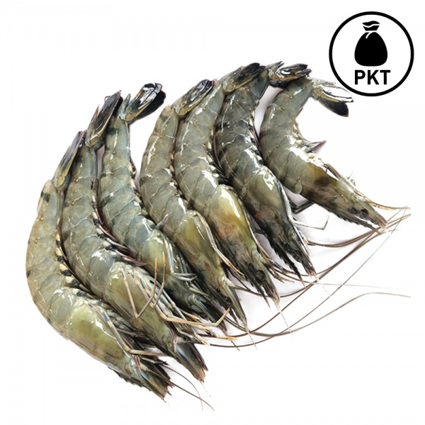 00400_udang_harimau
