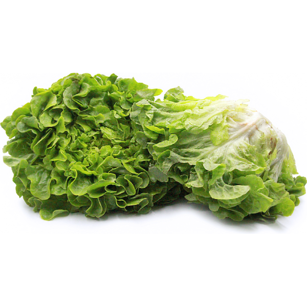 13525