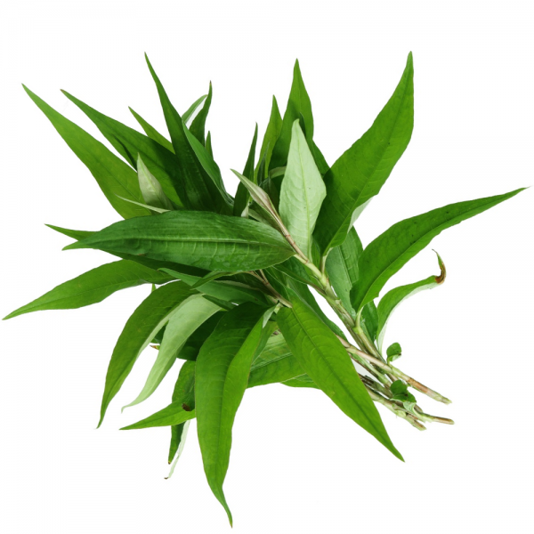 1597315095649-daun-kesumedited_jpeg_1072100614