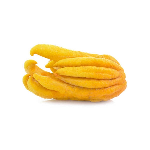 29387-0w470h470_fresh_buddha_hands_1717669237