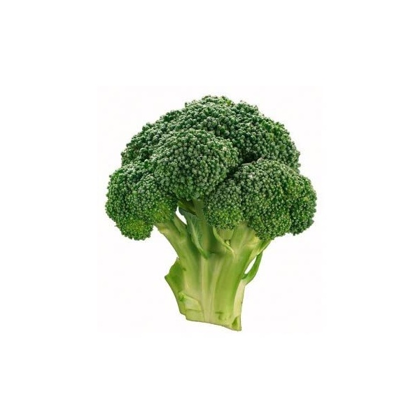 51ykqqikl__ac_ss450__1638918088