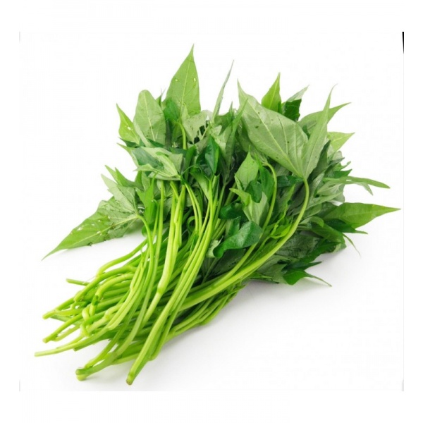 829e32ed-82b3-4c18-ae4e-a6faea69b1bf-728x800_1894637751