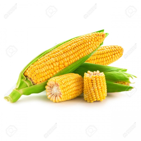 94016601-corn-fruits-isolated-on-white-background