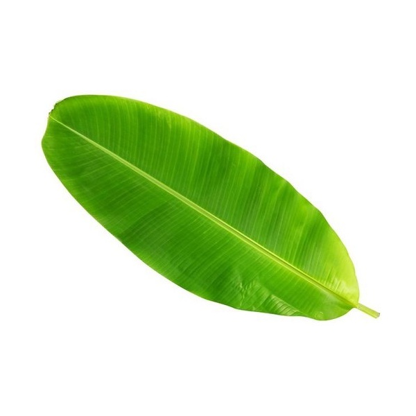 banana-leaf-500x500_1644673794