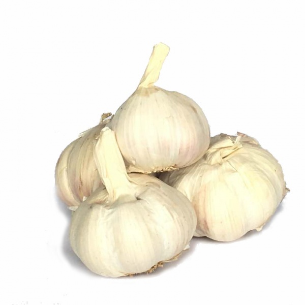 bawang_putih_kg