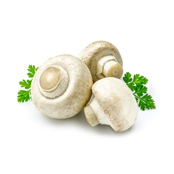 button-mushroom