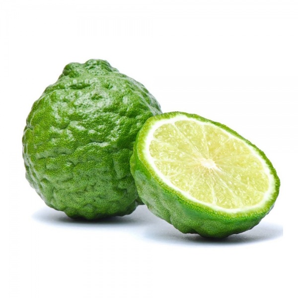 c22f5ba2892e4625909aca4ed3d22389_1267446883