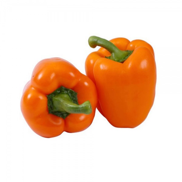capsicum-orange