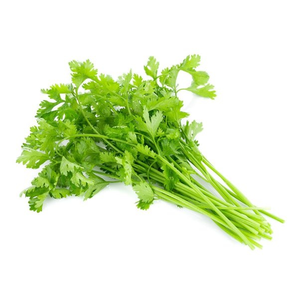 coriander_1055310968-600x600_694806887