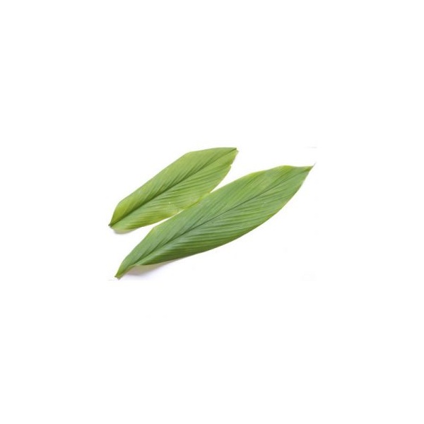 daun-kunyit-1