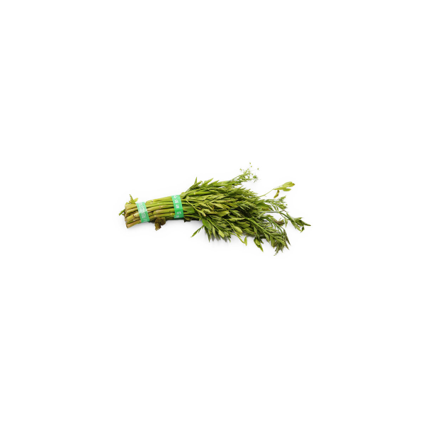 daun_selom_300gm