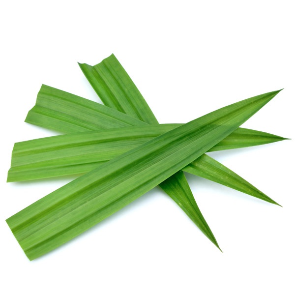 e50bc7c90ee2d9c30e28ab2fd7fcc5d5