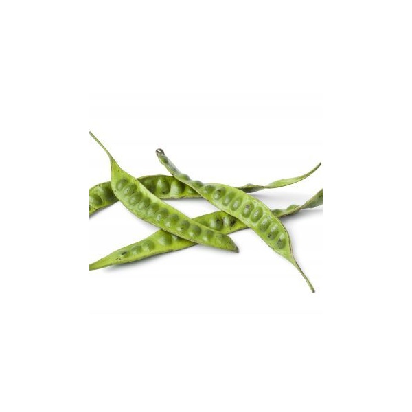 fresh-petai-beans-pmnyhje-scaled-1-e1607622695138_195124024