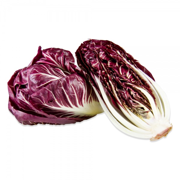 fresh-treviso-radicchio_trevisoradicchio-1