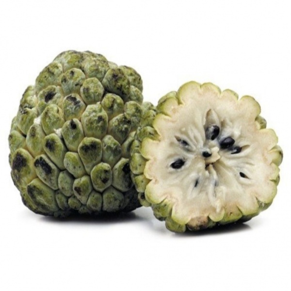 fruta-do-conde-novo1-c071ef09539c11c90f15899937516629-1024-1024