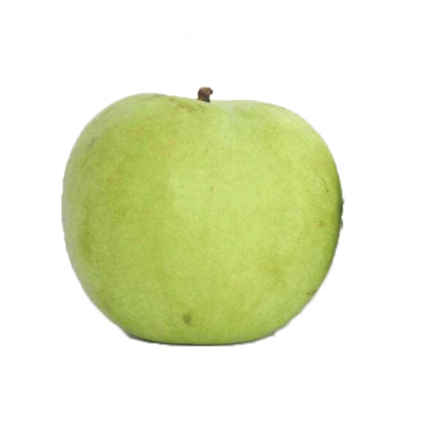green-diamond-pear-beautiful-sweet_1762222059