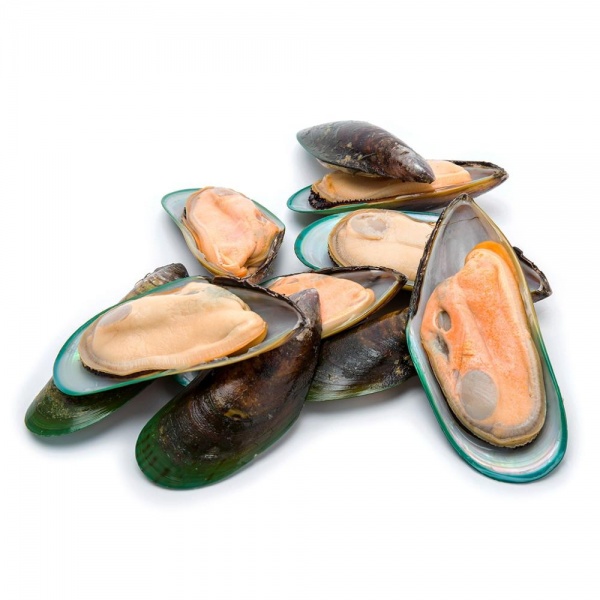 green_shell_mussel