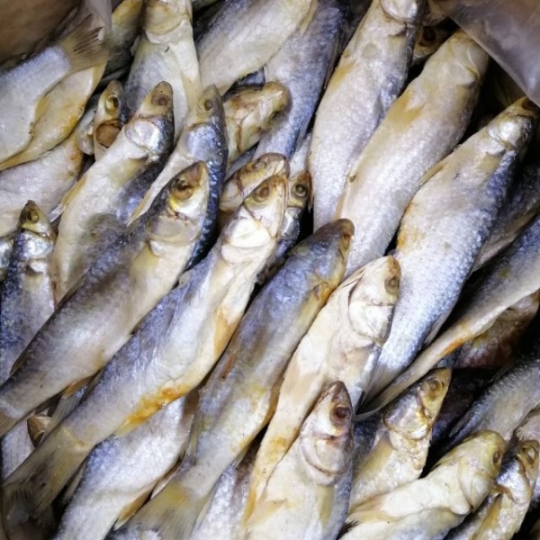ikan_belanak_160gm