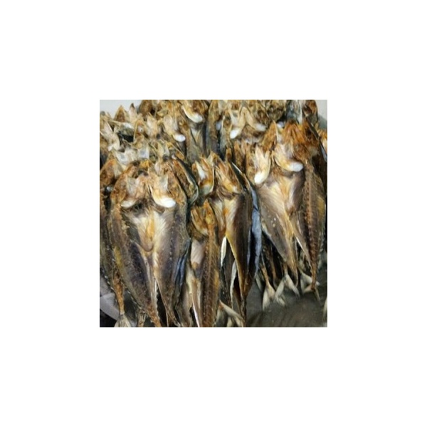 ikan_cencaru_120gm