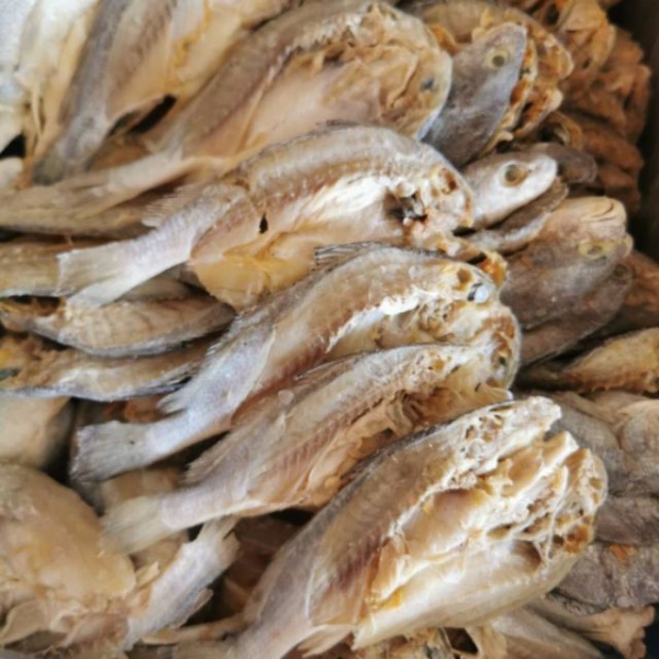 ikan_gelama_belah_100gm