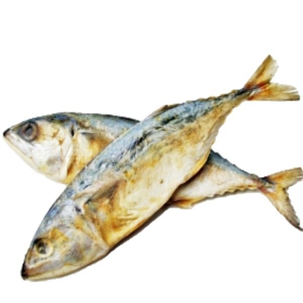 ikan_kembong_80gm
