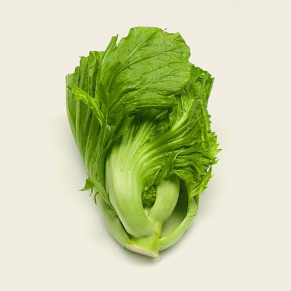 kai-choy_524413843