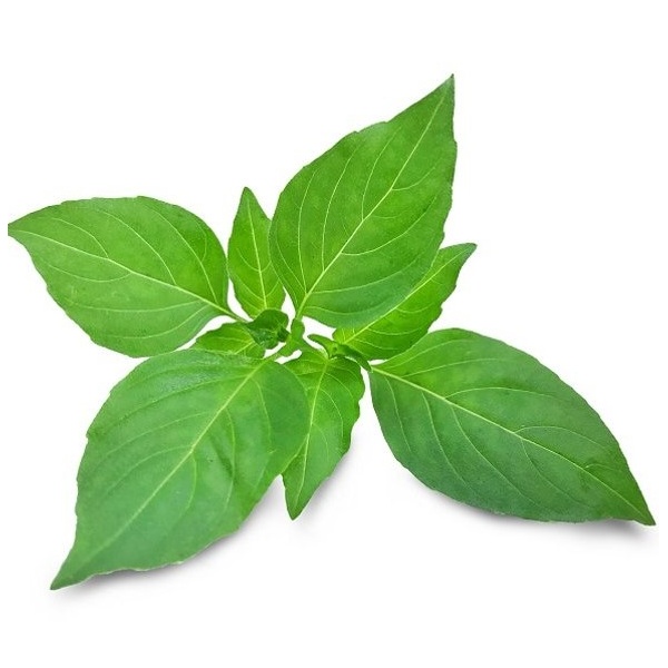kemangi