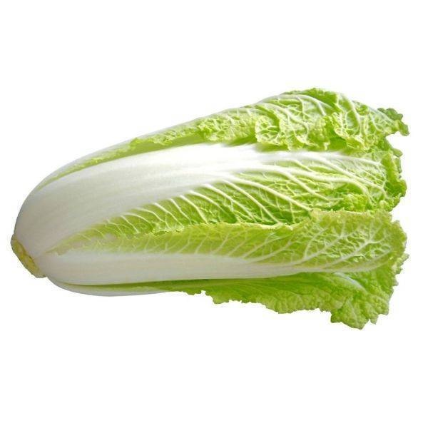 kobis-panjang-cabbage-chinesejpg_8_155368258