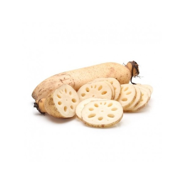 lotus-root-500x500_858336841