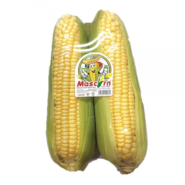 mascorn-farm-fresh-super-sweet-corn-2pcs-2-1201020144939253