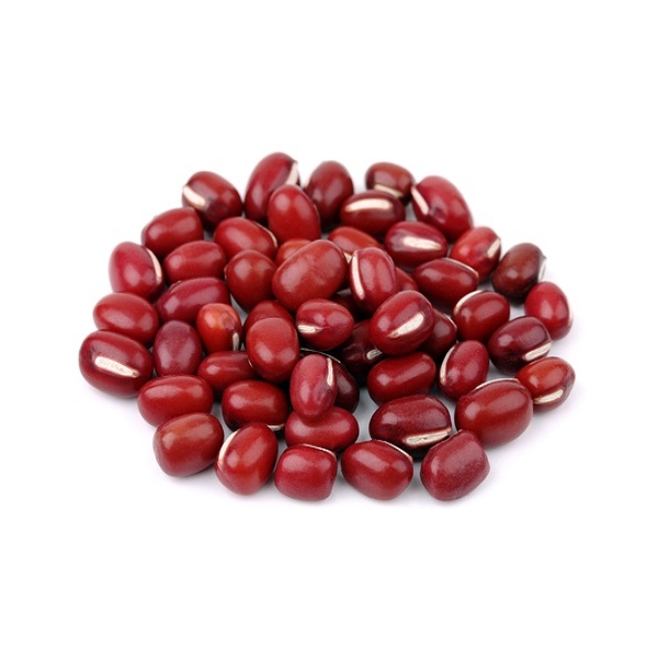 red-bean_1762777441