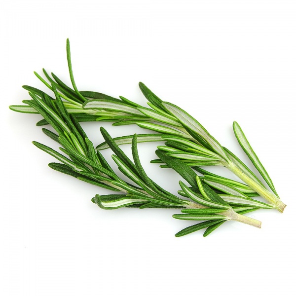 rosemary_118528998