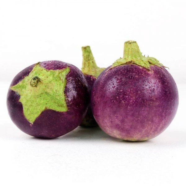 terung-bulat_462215459