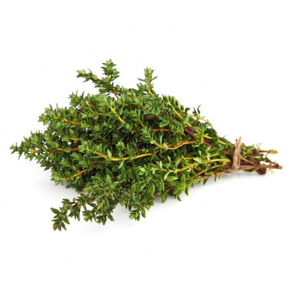thyme