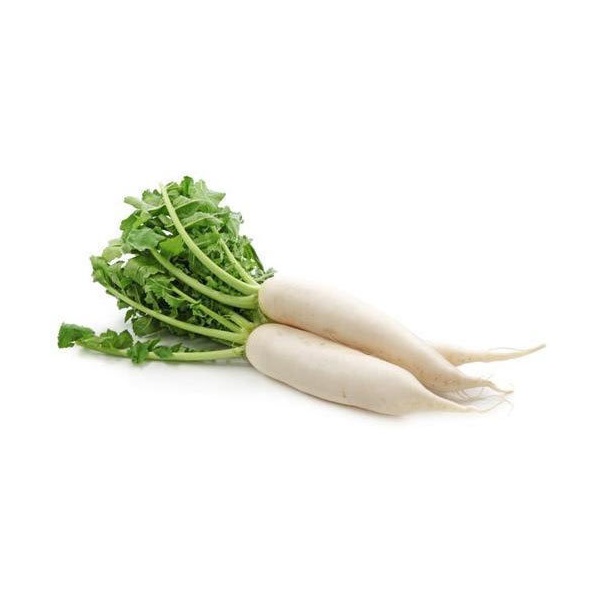 white-radish_498336129