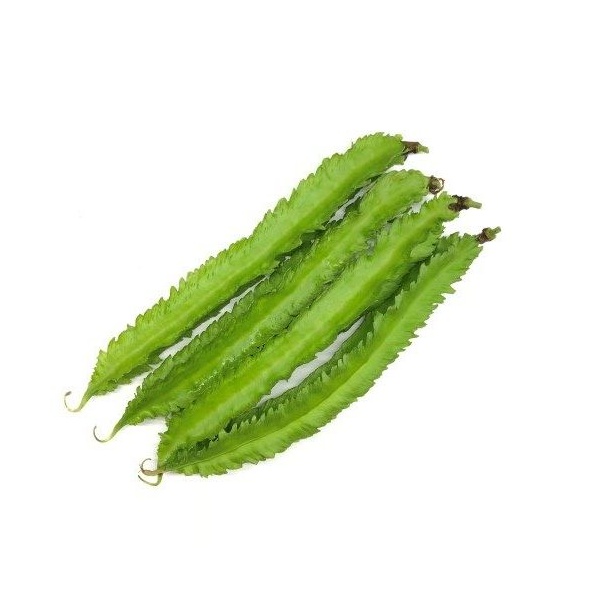 wing-bean-seeds-custom-e1526102257864_385405975