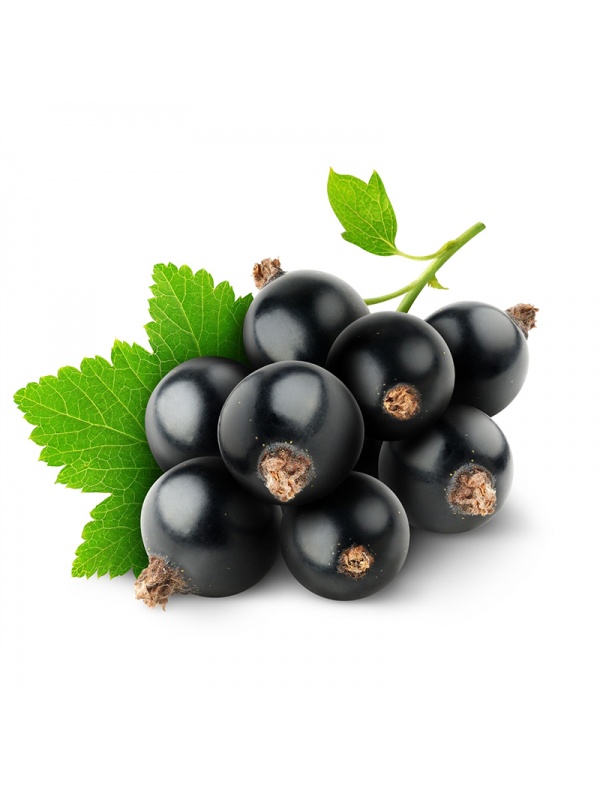 000043_blackcurrant_620538402