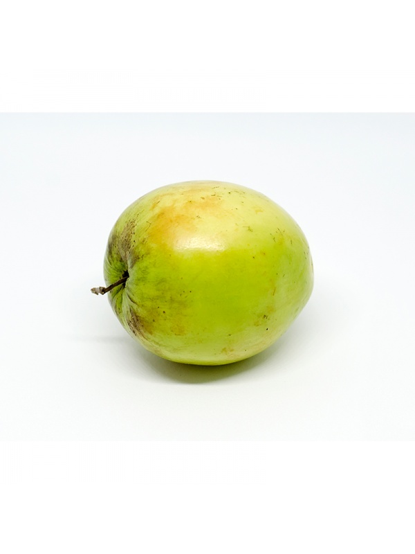 000084_buah_bidara_jujube_1018303569
