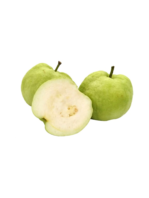 000097_seedless_guava_246626227