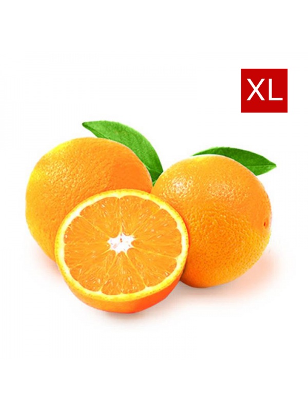 000121_orangeseedlessxl_2136479964