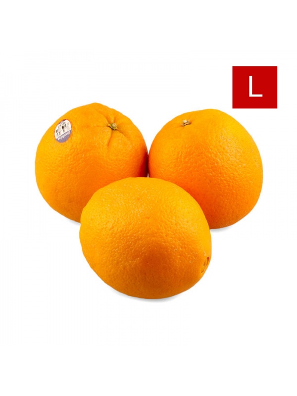 000122_orange_sunkistl_2092048007