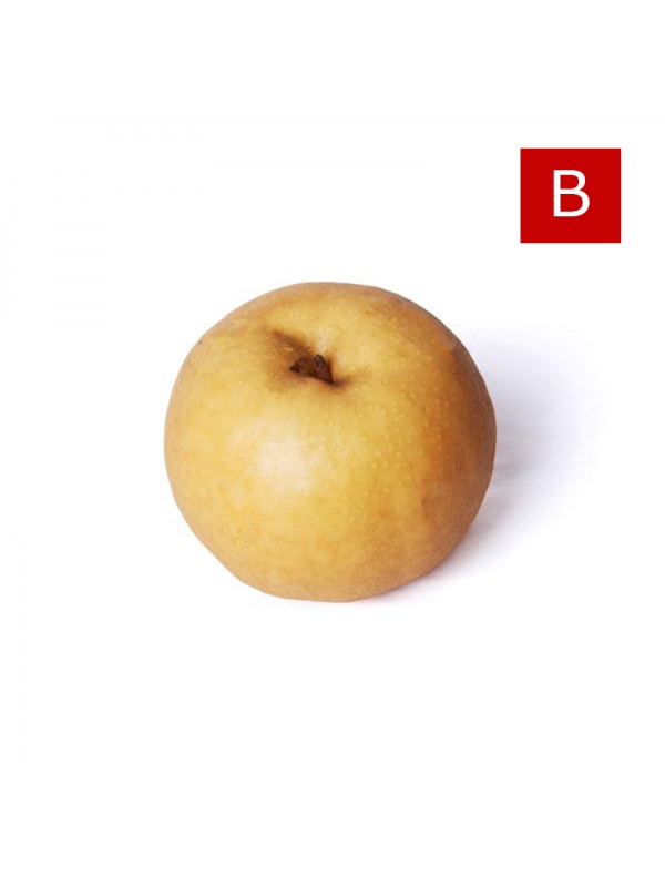 000137_golden_pear_b_391465542