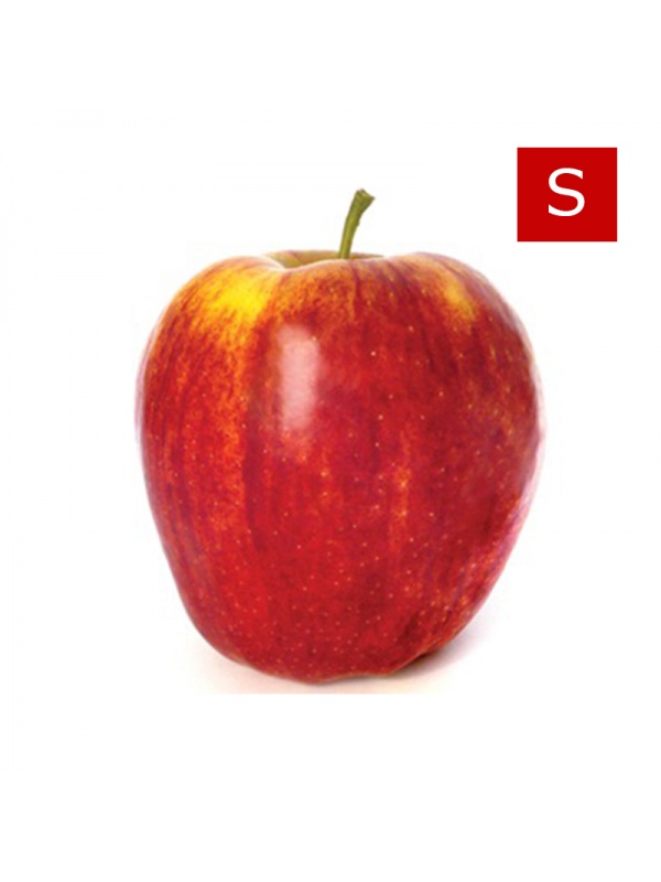 000138_applesroyalgala_s