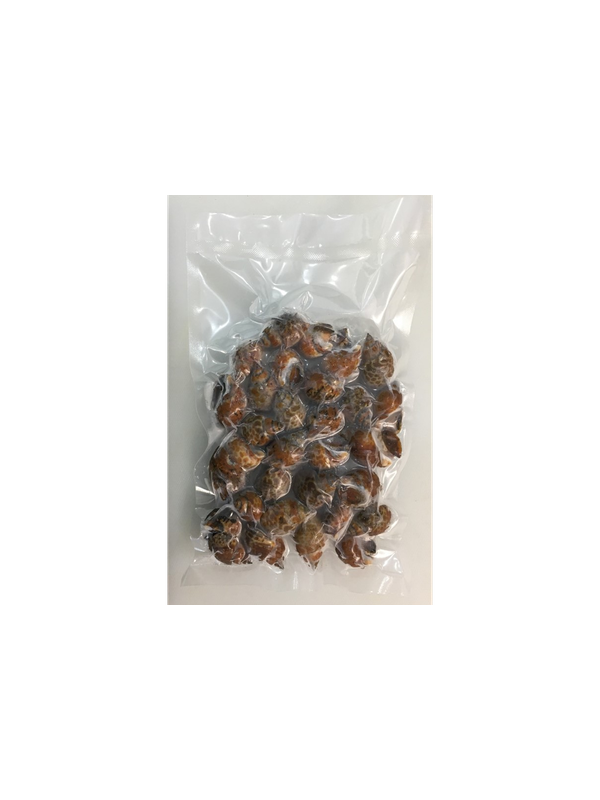 001594_-_top_shell
