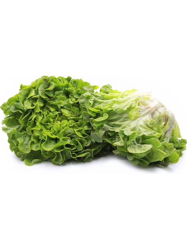13525