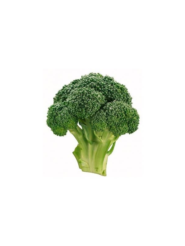 51ykqqikl__ac_ss450__1638918088