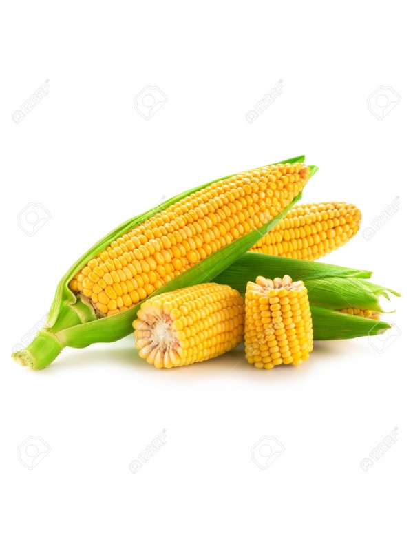 94016601-corn-fruits-isolated-on-white-background