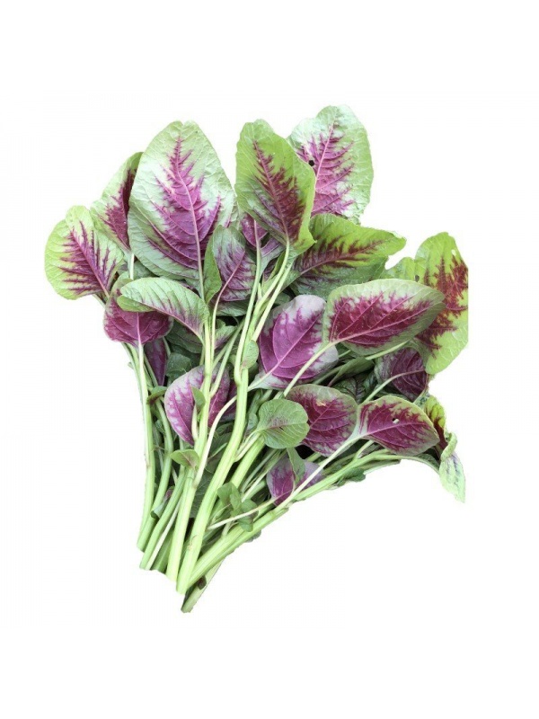 amaranth-seeds-benih-bayam-s133-1_387456723